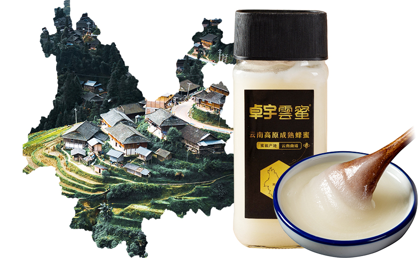 云南養(yǎng)蜂基地